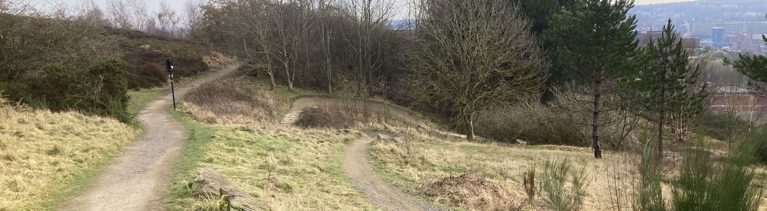 Mountain Bike Trail